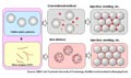 Materials become electrically conductive with CNT network at particle boundary